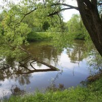 р. Стрелка :: Наталья Герасимова