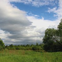 Стрельна :: Наталья Герасимова Стрельна :: Наталья Герасимова