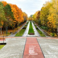 Краски золотой осени. :: Милешкин Владимир Алексеевич 