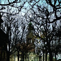 Дрезденская паутина :: Владимир Шишкин