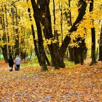 Золотая осень в городе. :: Милешкин Владимир Алексеевич Золотая осень в городе. :: Милешкин Владимир Алексеевич