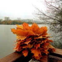 Осенний привет для моего соседа Анатолия Колосова. :: Татьяна Помогалова Осенний привет для моего соседа Анатолия Колосова. :: Татьяна Помогалова