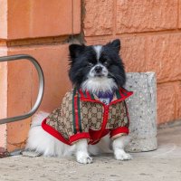 Пора утепляться :: Валерий Иванович Пора утепляться :: Валерий Иванович