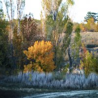 Осень  золотая :: Валентин Семчишин