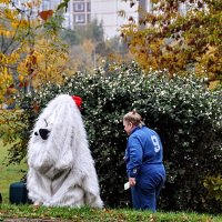 Рождение медведя ! Эпизод для Андрея Зайцева ! ) :: Анатолий Колосов