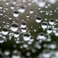 Шарики :: sorovey Sol