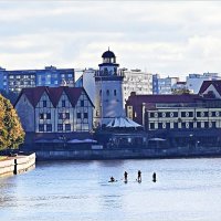 Утро на Преголе. :: Валерия Комова Утро на Преголе. :: Валерия Комова