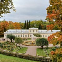 Оранжерейный сад в октябре. :: Лия ☼