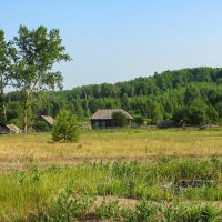 Деревня в лесу :: Владимир Иванович