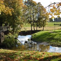 дикий мир осенью :: ИННА ПОРОХОВА