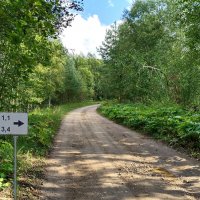 Прошлым летом... :: Мария Васильева