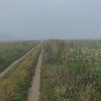 *** :: Владимир 