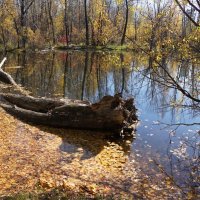 Водяной :: Наталия Григорьева Водяной :: Наталия Григорьева