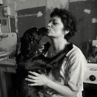 Это любовь... :: СЮ 