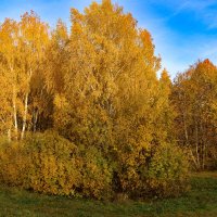 осень :: краснов юрий 