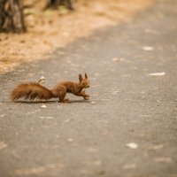 Она пришла :: Михаил Она пришла :: Михаил