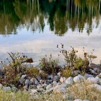 «Про ТИШИНУ…» :: Арина Невская