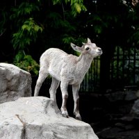 В зоопарке :: Татьяна Тюменка В зоопарке :: Татьяна Тюменка