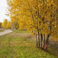 Погожий день октября :: Сергей Ц Погожий день октября :: Сергей Ц