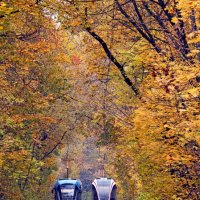 Октябрь :: Михаил Бибичков