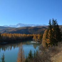 Осенняя Чуя :: Валерий Медведев Осенняя Чуя :: Валерий Медведев