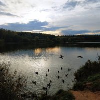 Да не оскудеет рука дающая! :: Андрей Лукьянов