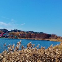 природа :: Владимир природа :: Владимир