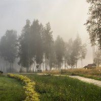 Туманное утро. :: Bosanat Туманное утро. :: Bosanat