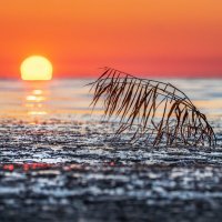 Встречая рассвет :: Ирина 