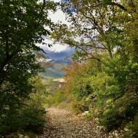 Тенёчек в горах. :: Любовь Тенёчек в горах. :: Любовь