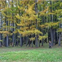 Осенний парк... :: Aquarius - Сергей