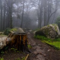 Португалия в Рожество. :: Иван К