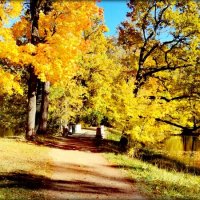 Осень,  золотая осень в парках Царского Села ... :: Сергей 