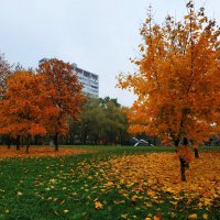 Золотая пора в городе :: Андрей Лукьянов