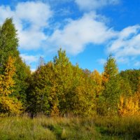 По тропинке в осенний парк :: Aida10 По тропинке в осенний парк :: Aida10