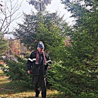 Октябрь...В гостях у елочек! :: Владимир 