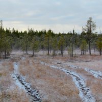 Нармыские болота-2 :: Сергей Никифоров