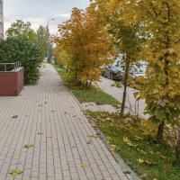 На осенних тротуарах :: Валерий Иванович На осенних тротуарах :: Валерий Иванович