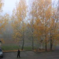 Утро туманное :: Александр Щеклеин