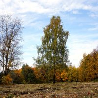 Кругом осень :: Лариса Корж Кругом осень :: Лариса Корж