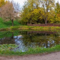 Старый пруд. :: Анатолий. Chesnavik. Старый пруд. :: Анатолий. Chesnavik.