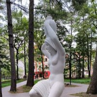 Несущая воду. :: Ольга 