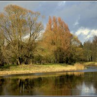 Осень на пруду.... :: Aleksandr Gal