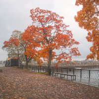 *** :: Сергей Григорьев *** :: Сергей Григорьев