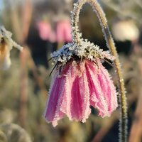 Похолодало :: Валентина Богатко 