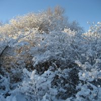 Зима :: Anna Ivanova Зима :: Anna Ivanova