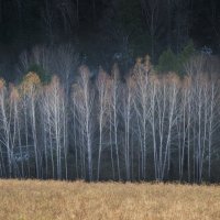 * :: Александр Иванов