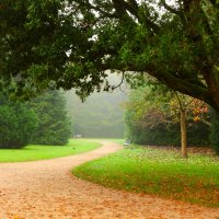 Осенние дорожки :: Юрий. Шмаков