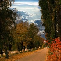 ++++ :: Анатолий Уткин