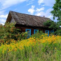 История деревеньки из 10 домов... :: Мария Васильева